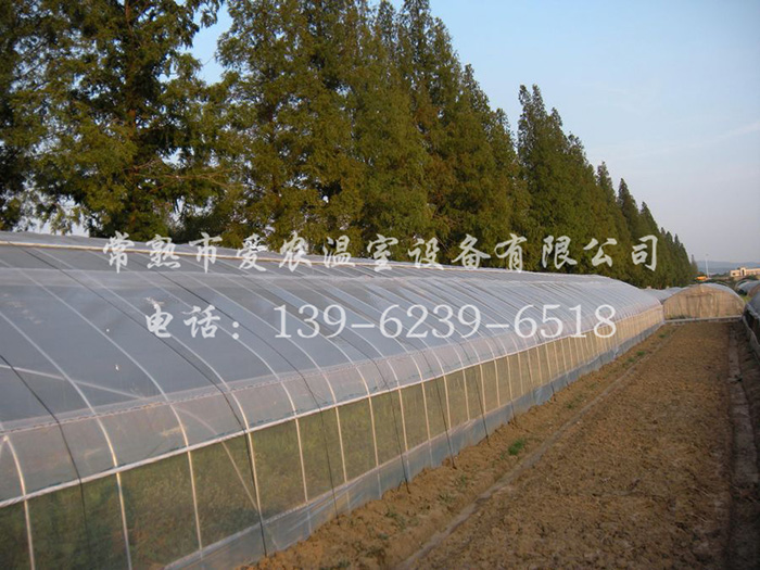 像素管隧道信號(hào)燈-001